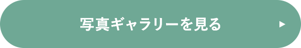 写真ギャラリーを見る