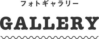 フォトギャラリー