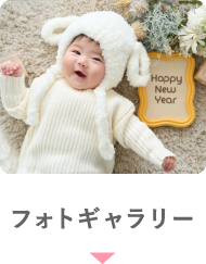 フォトギャラリー