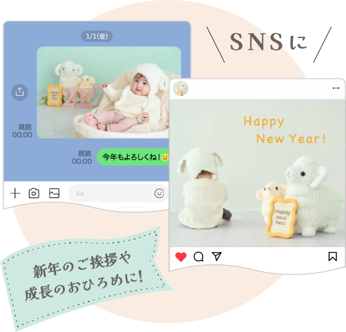 新年のご挨拶や成長のおひろめに!