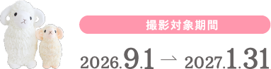 撮影対象期間:2026.9.1-2027.1.31