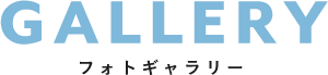 GALLERY フォトギャラリー